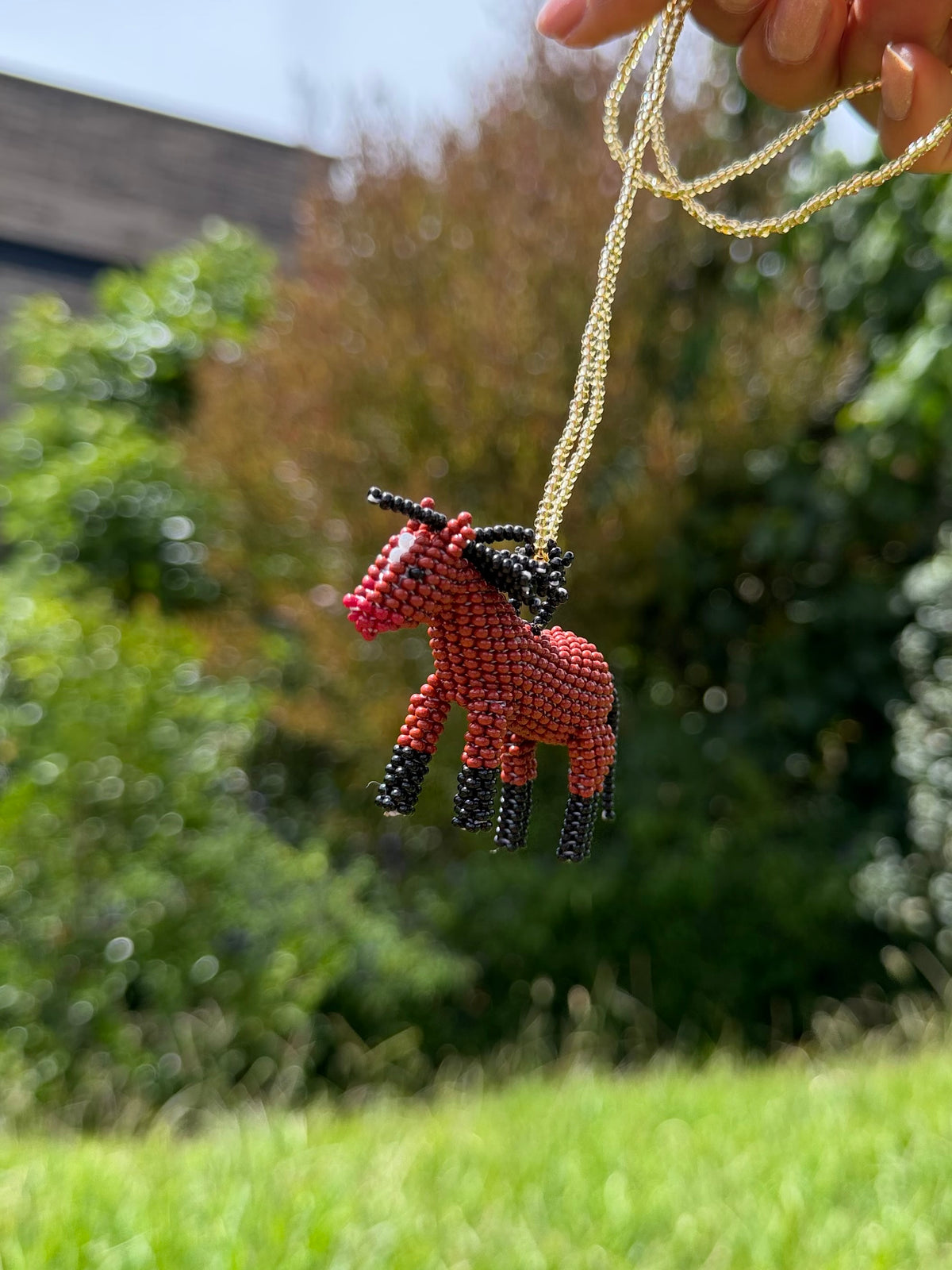 Combo Collar + Mug Caballo