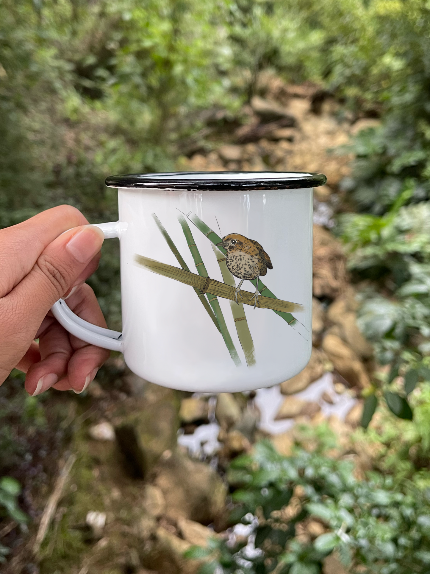 Mug Ave Tororoí de Urrao