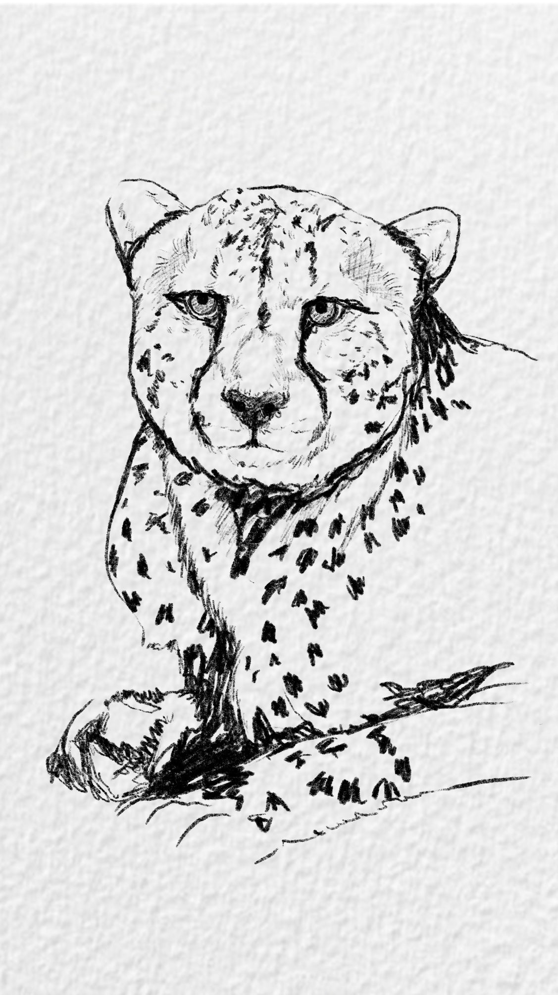Dibujo Digital ✏️