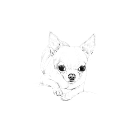 Dibujo Digital ✏️