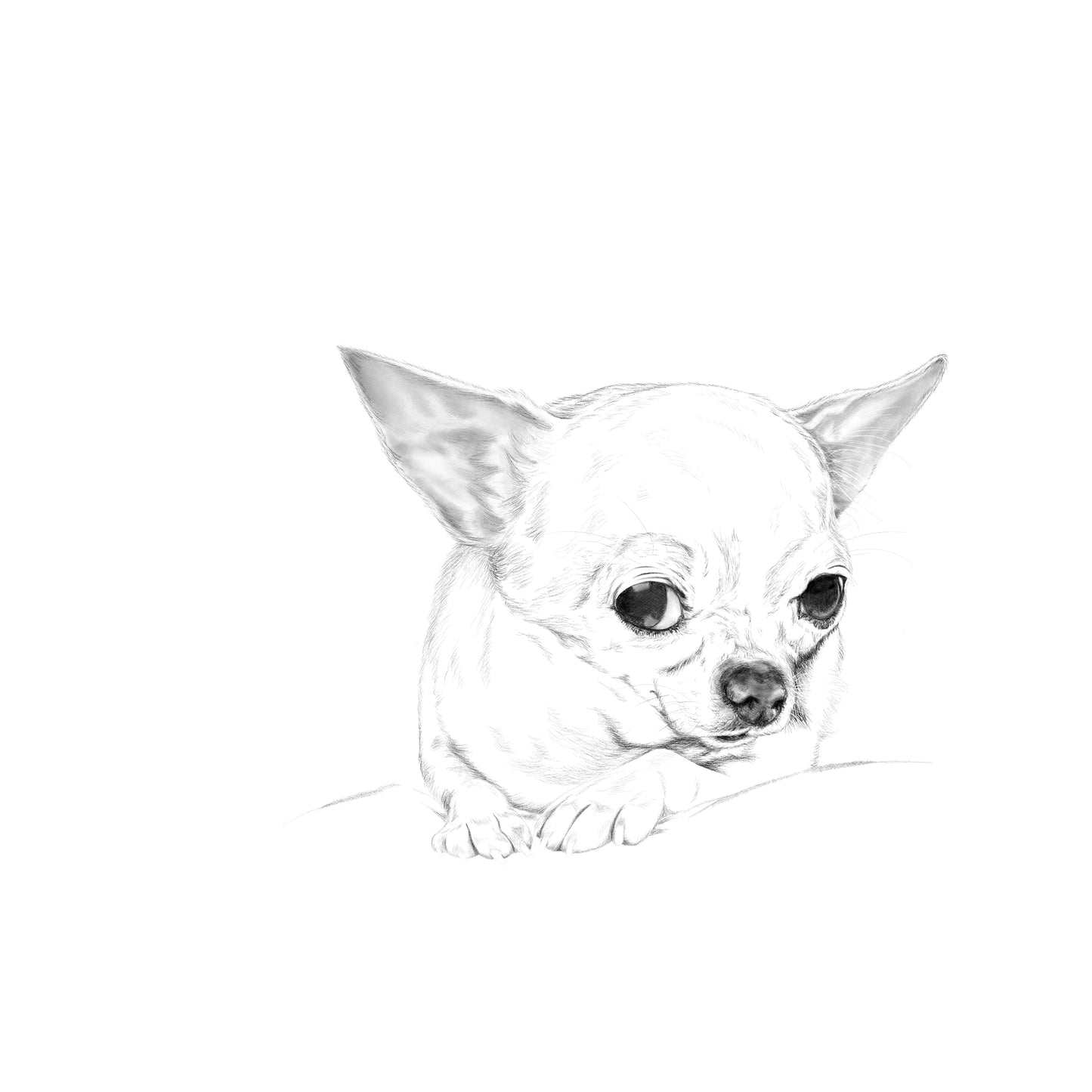 Dibujo Digital ✏️
