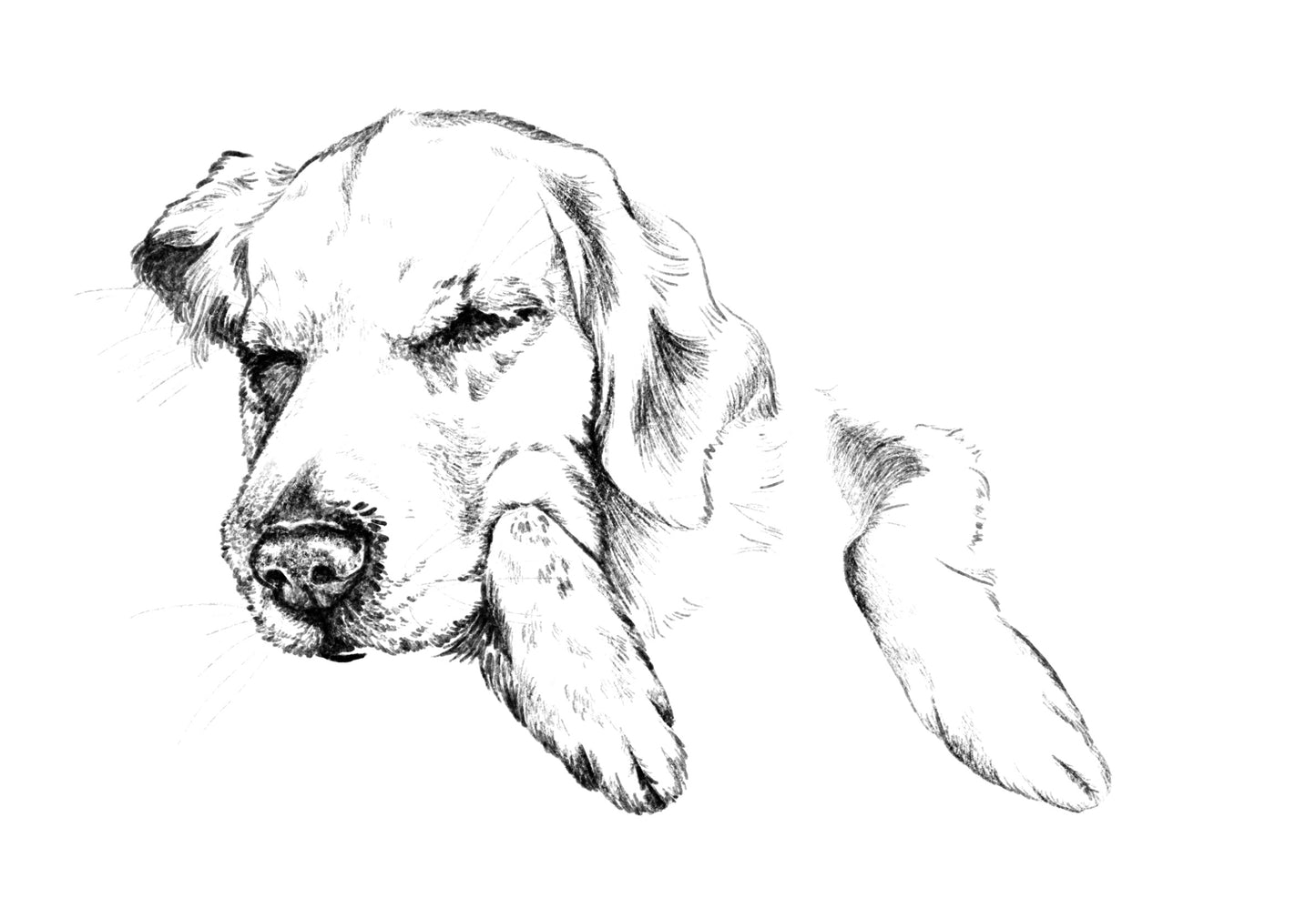 Dibujo Digital ✏️