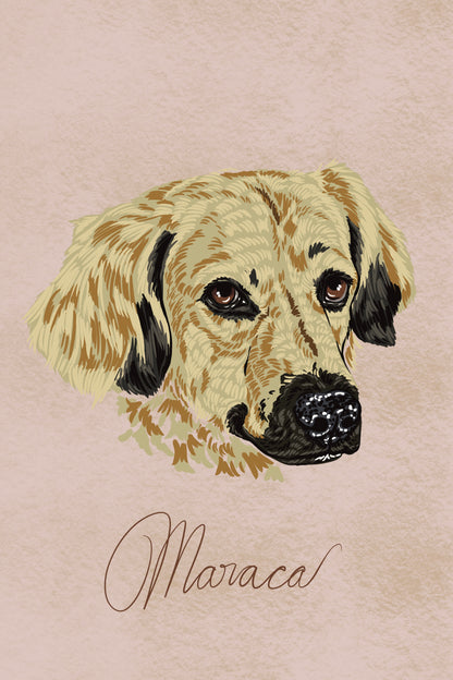 Retrato Digital ✍🏽