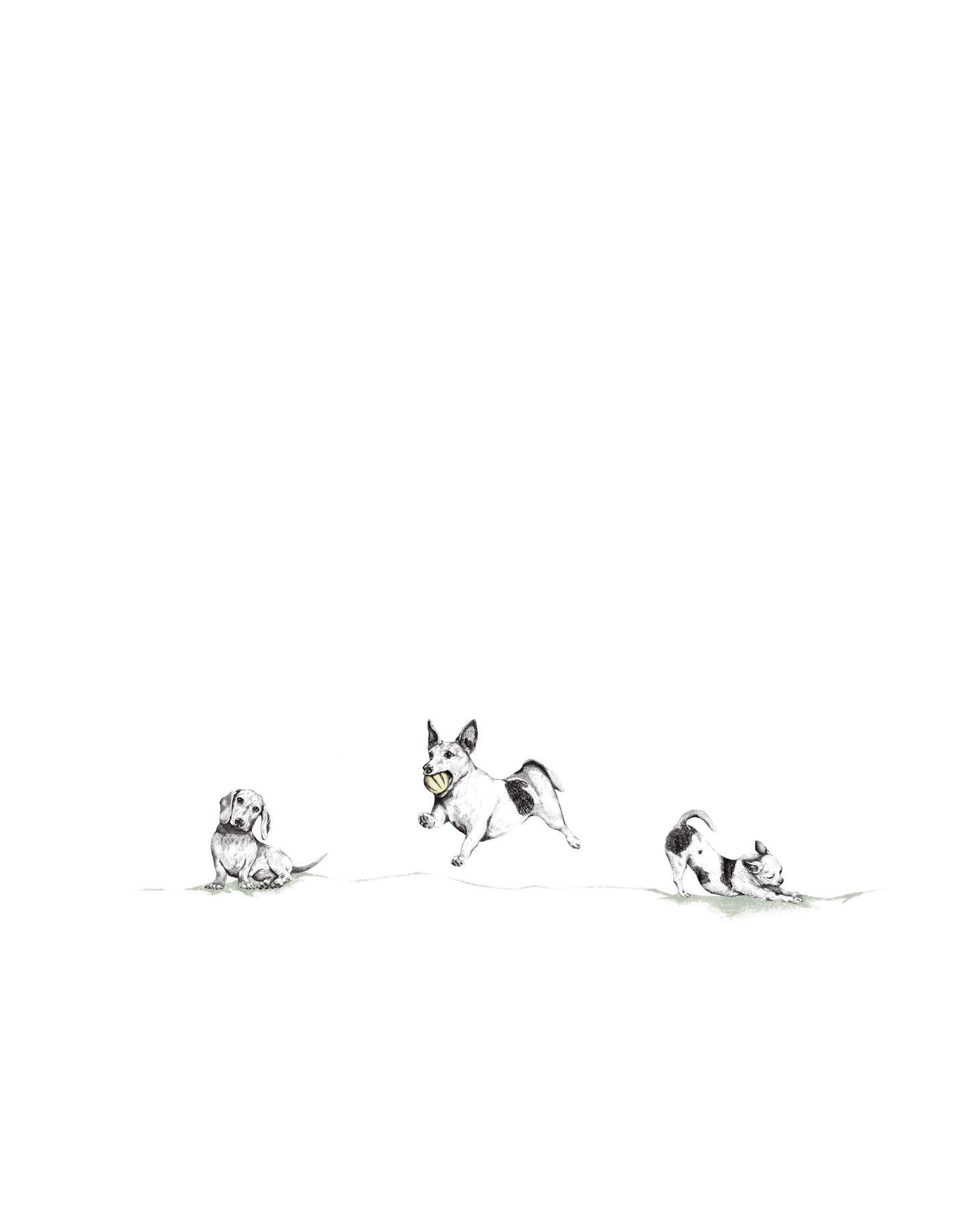 Dibujo Digital ✏️