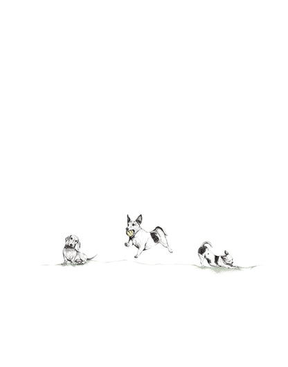 Dibujo Digital ✏️