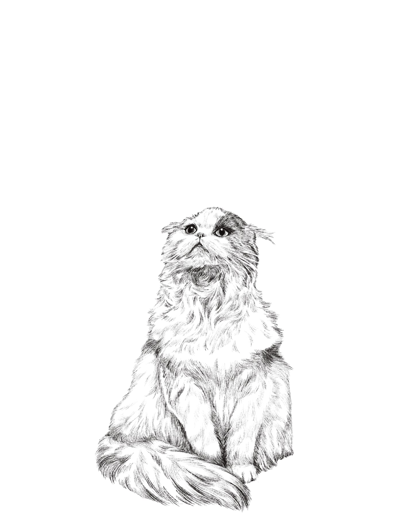 Dibujo Digital ✏️