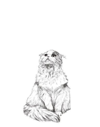 Dibujo Digital ✏️