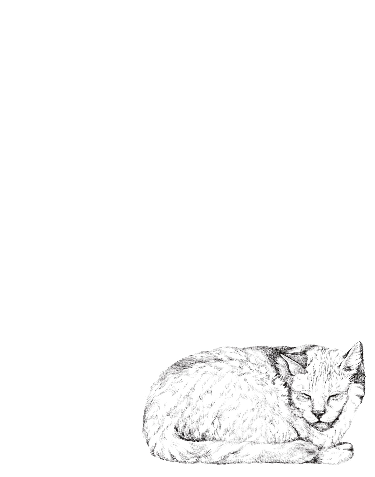Dibujo Digital ✏️