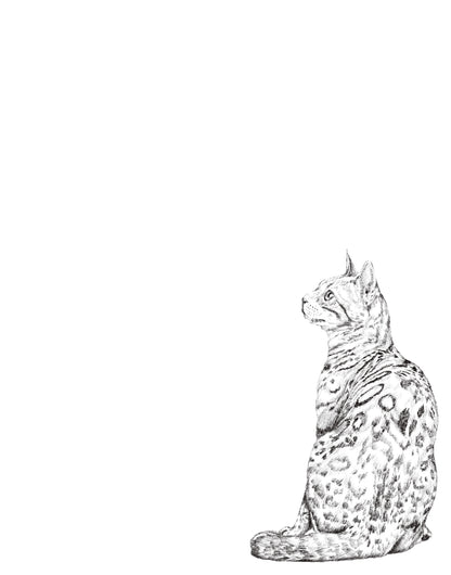 Dibujo Digital ✏️