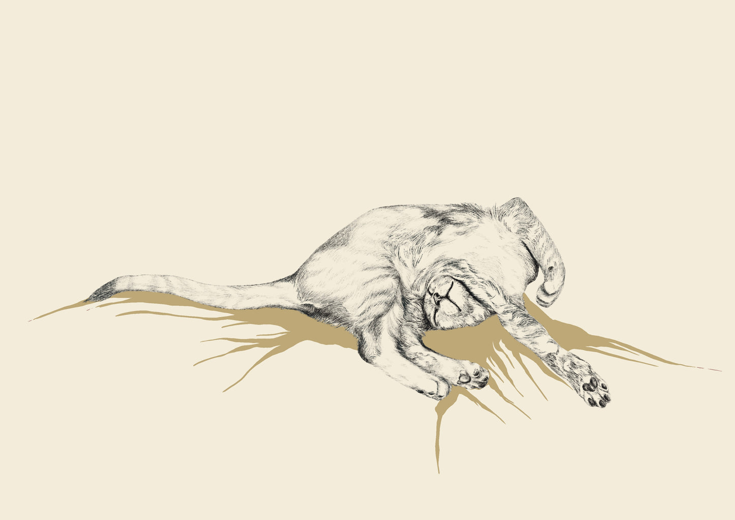 Dibujo Digital ✏️