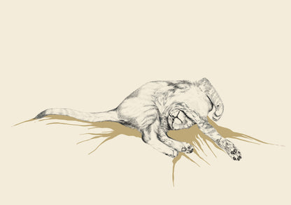 Dibujo Digital ✏️