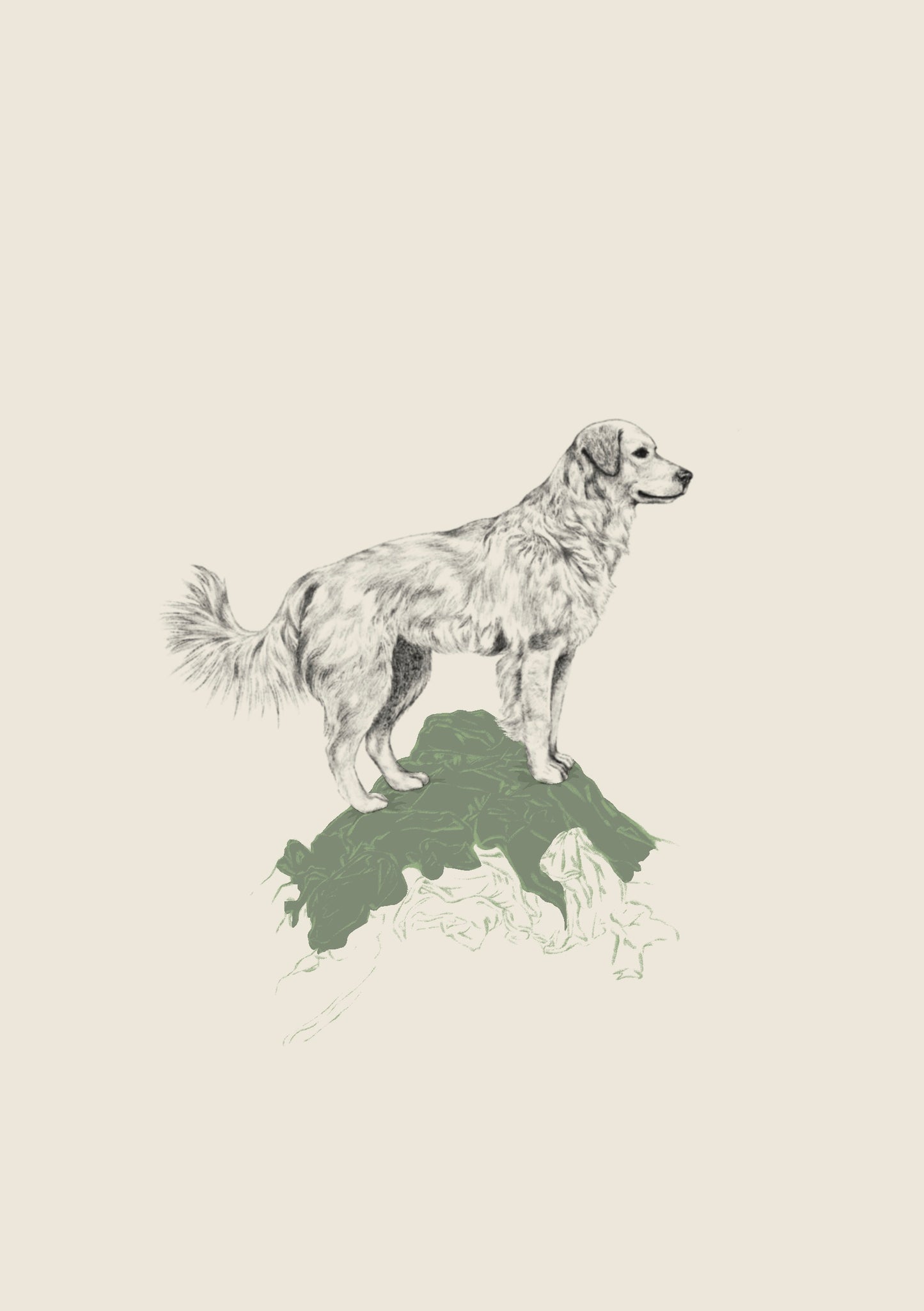 Dibujo Digital ✏️