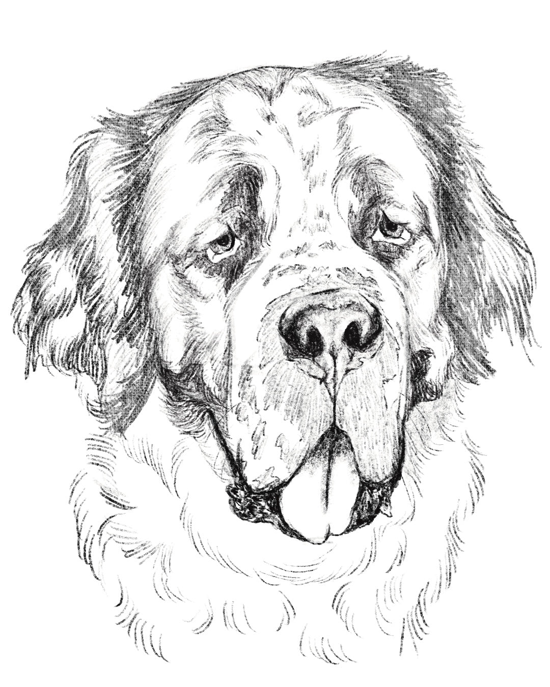 Dibujo Digital ✏️