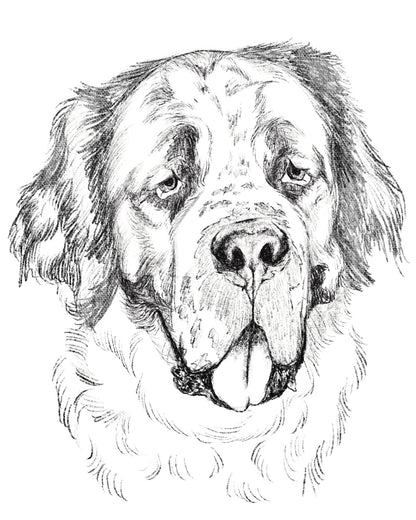 Dibujo Digital ✏️
