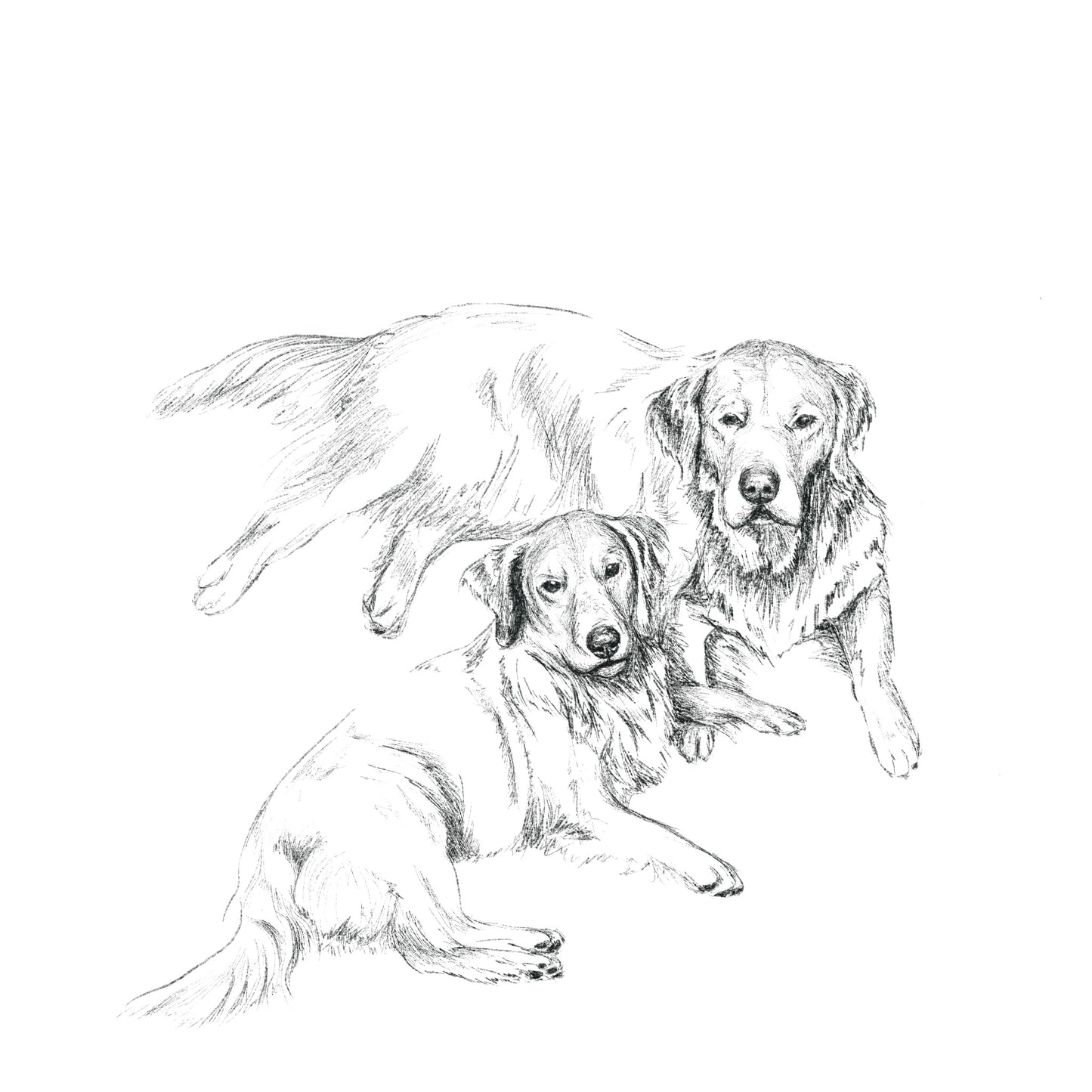 Dibujo Digital ✏️