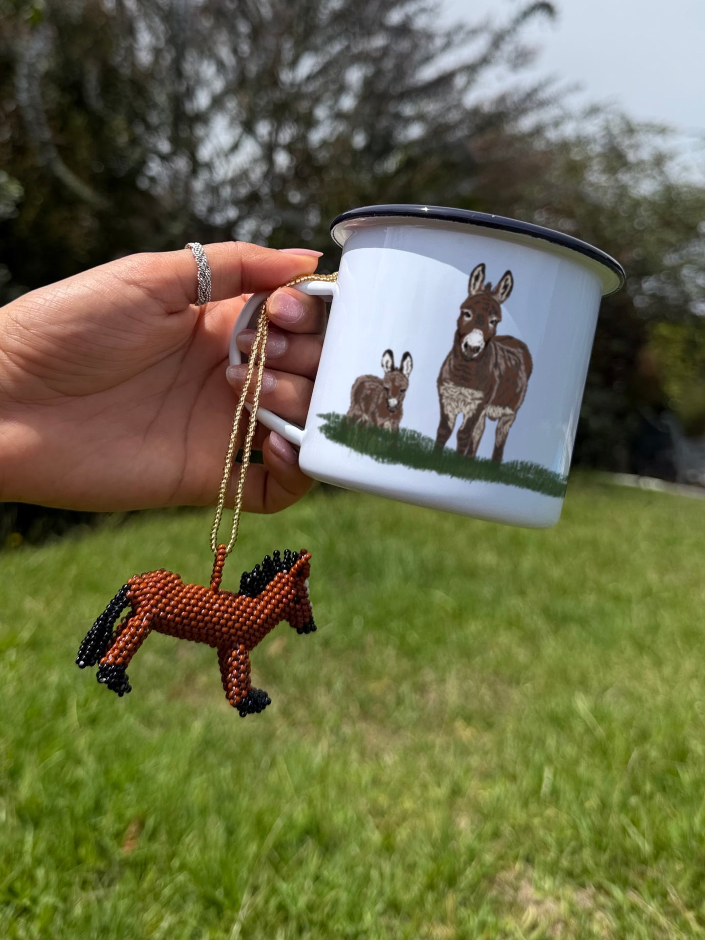 Combo Collar + Mug Burro
