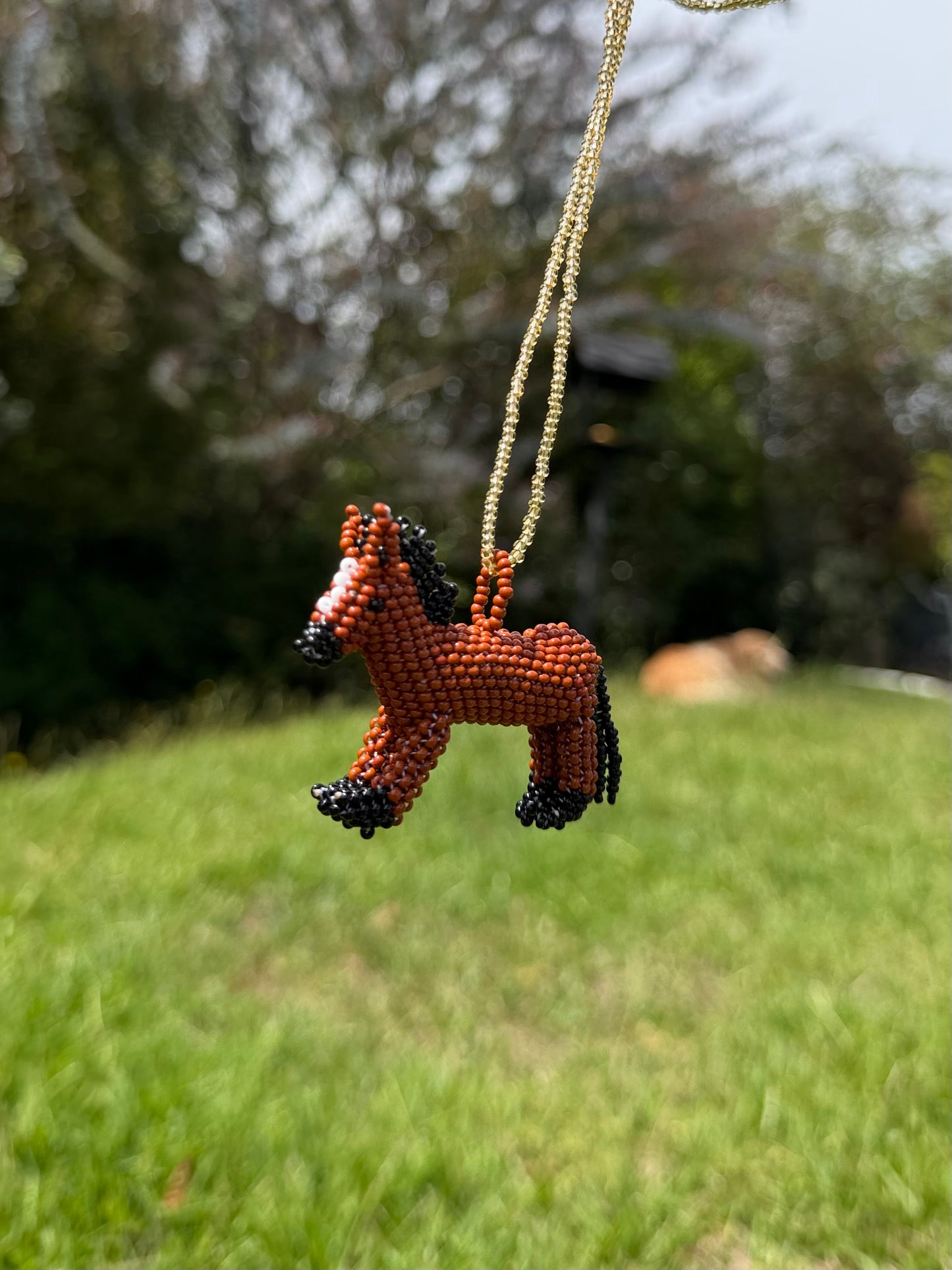 Combo Collar + Mug Burro