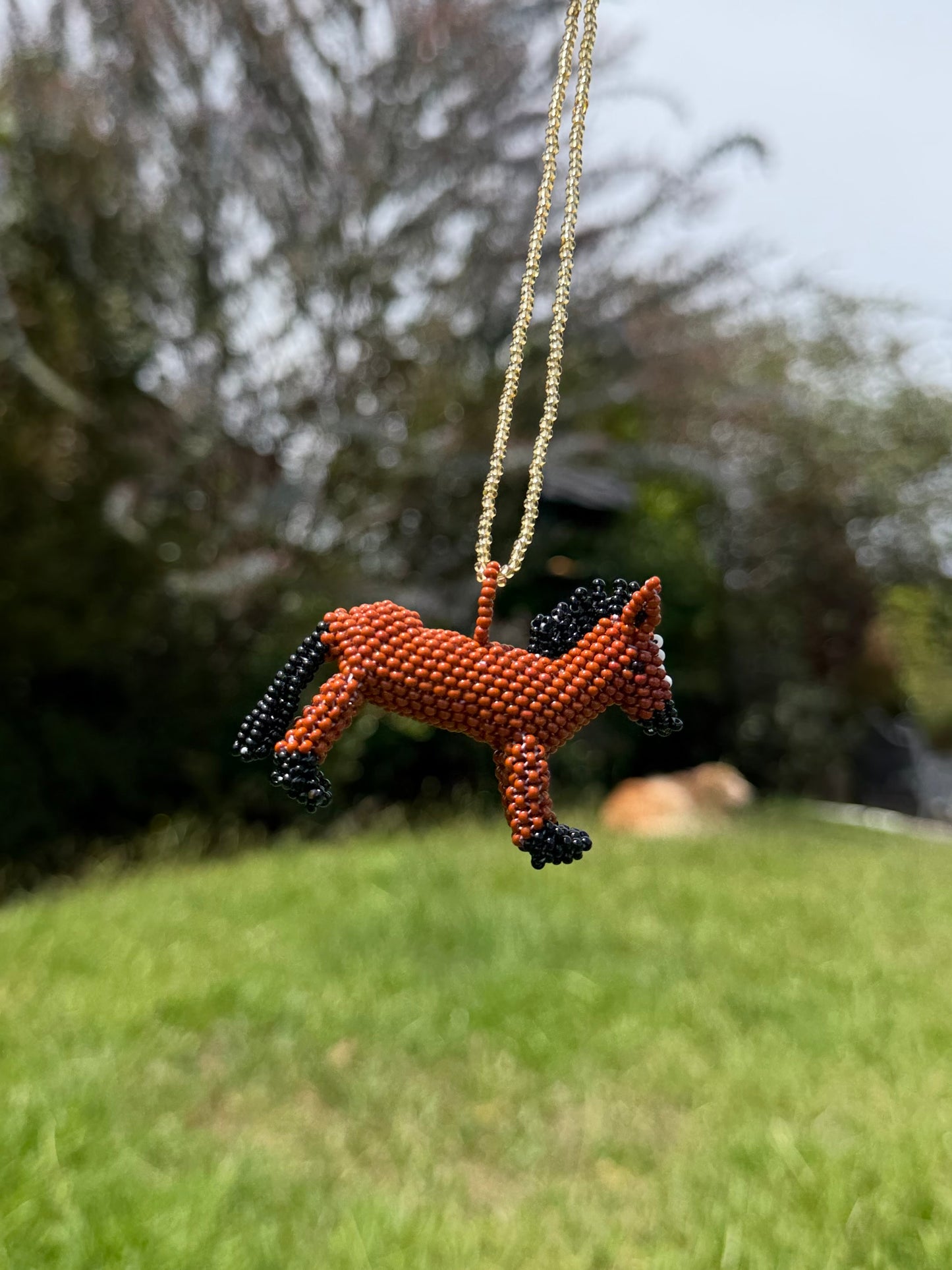 Combo Collar + Mug Burro