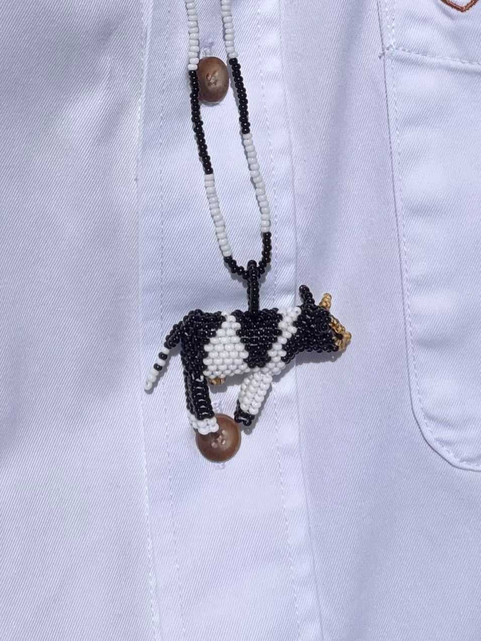 Combo Collar + Mug Vaca