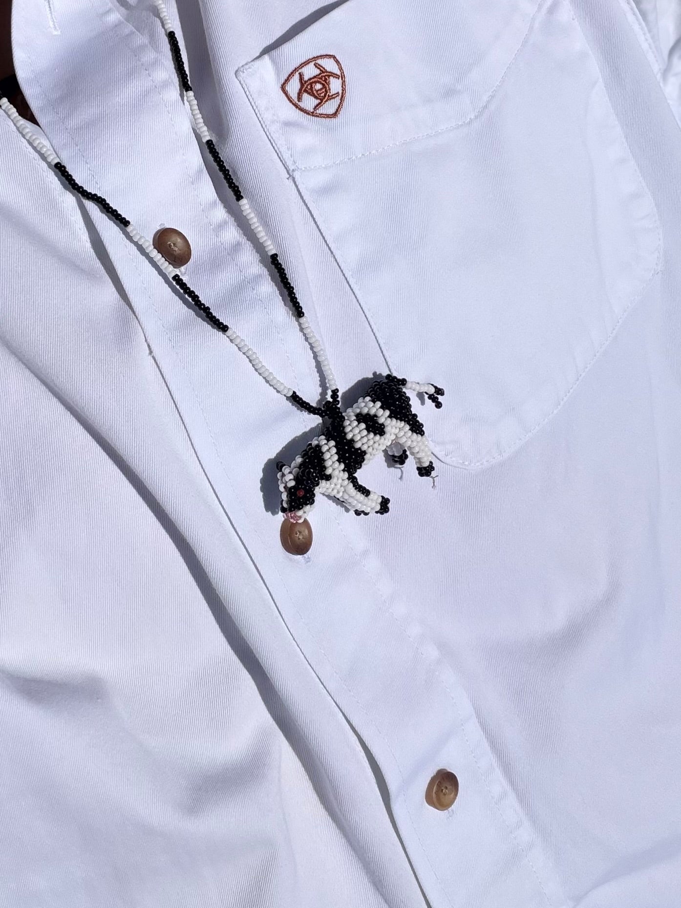 Combo Collar + Mug Vaca