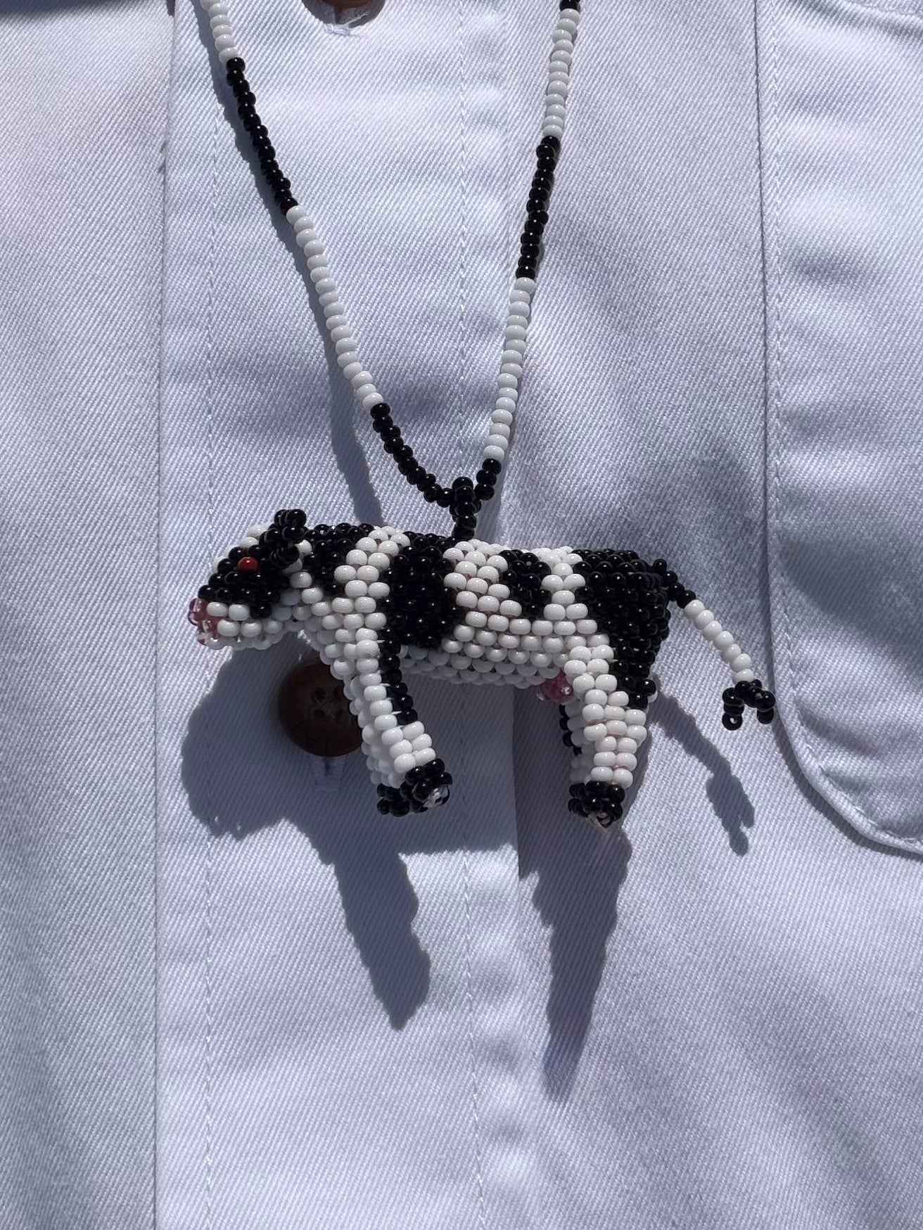 Combo Collar + Mug Vaca