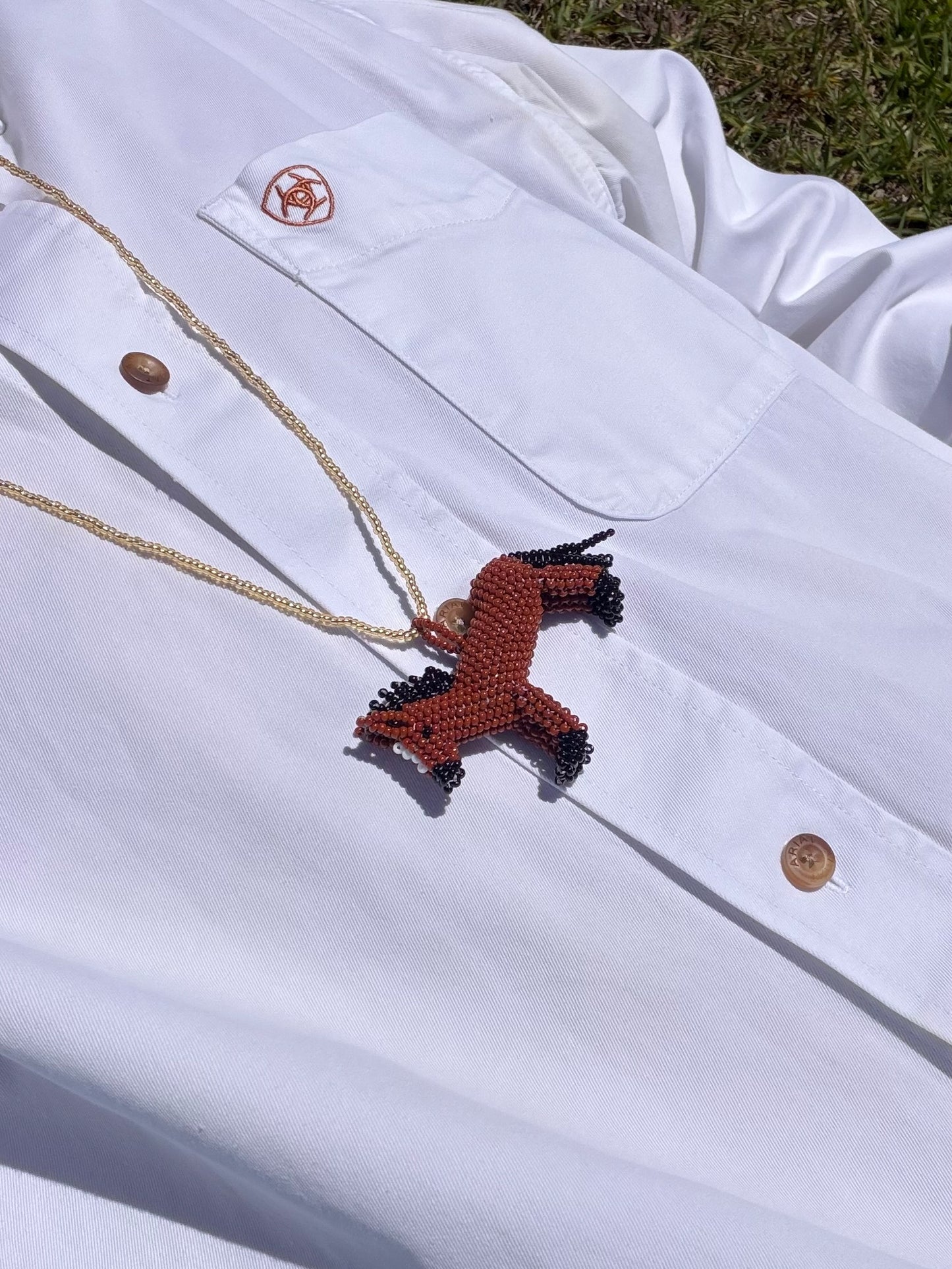 Combo Collar + Mug Burro