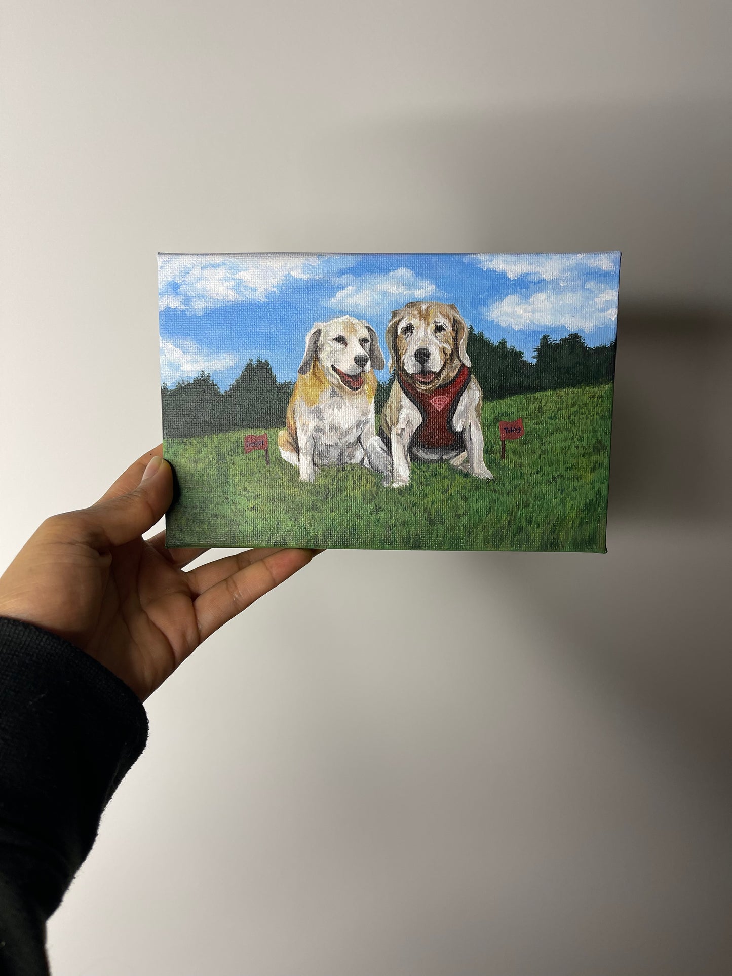 Mini Pintura Acrílica 🖼️