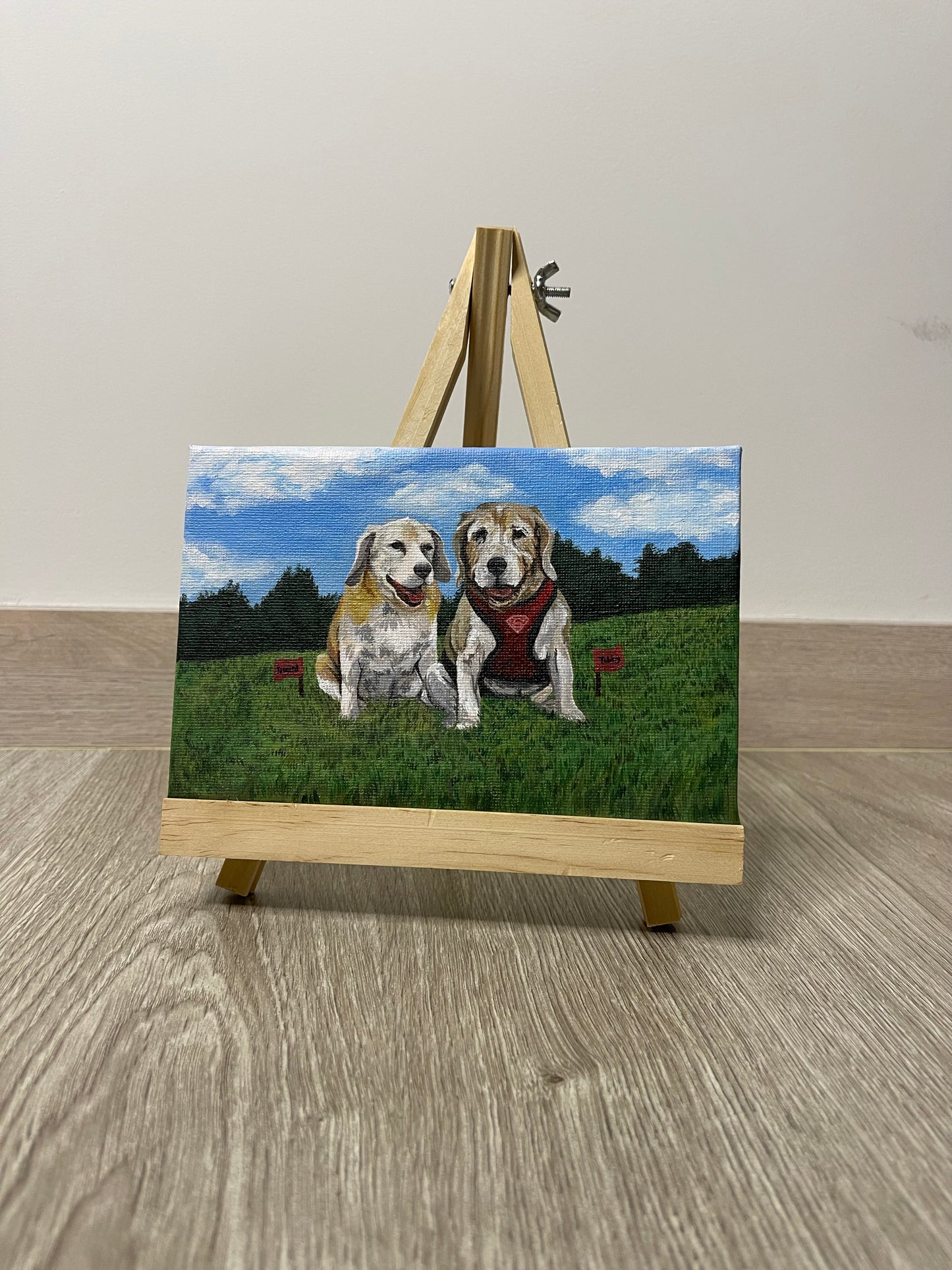 Mini Pintura Acrílica 🖼️